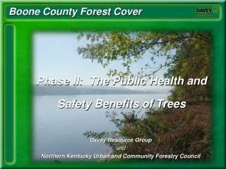 Boone County Forest Cover