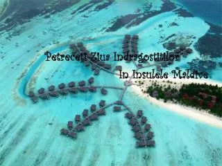 petreceti ziua indragostitilor in insulele maldive