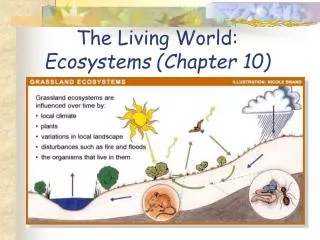 The Living World: Ecosystems (Chapter 10)