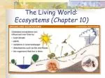 The Living World: Ecosystems (Chapter 10) - slide 1