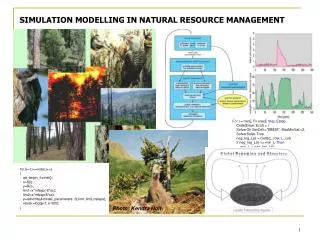 SIMULATION MODELLING IN NATURAL RESOURCE MANAGEMENT