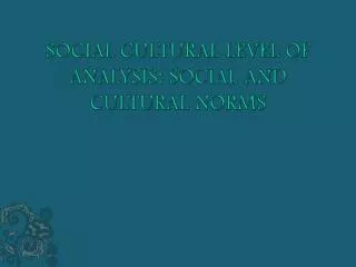 SOCIAL CULTURAL LEVEL OF ANALYSIS: SOCIAL AND CULTURAL NORMS