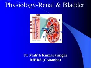 Physiology-Renal &amp; Bladder