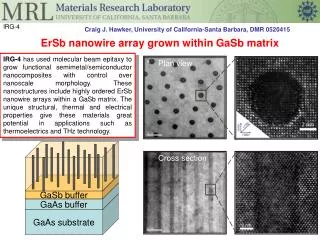 ErSb nanowire array grown within GaSb matrix