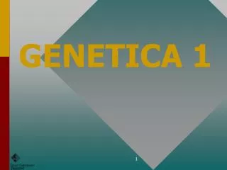 PPT - GENETICA 1 PowerPoint Presentation, Free Download - ID:3521399