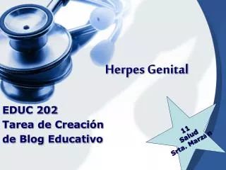 herpes genital
