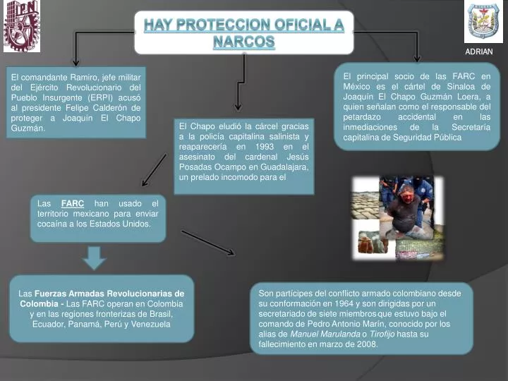 hay proteccion oficial a narcos