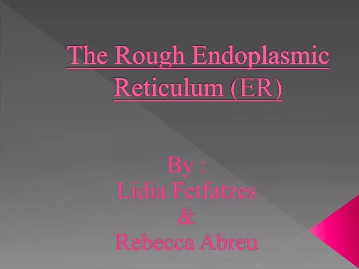 the rough endoplasmic reticulum er