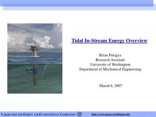 Tidal In-Stream Energy Overview