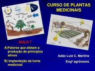 curso de plantas medicinais