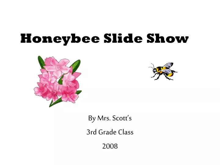 honeybee slide show