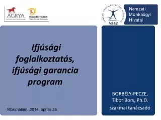 ifj s gi foglalkoztat s ifj s gi garancia program