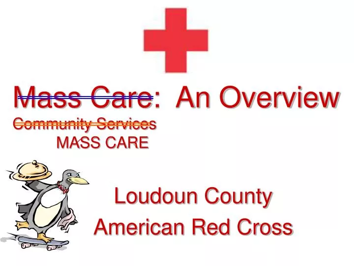 mass care an overview community services mass care