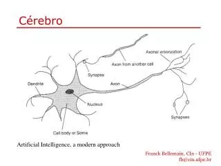c rebro