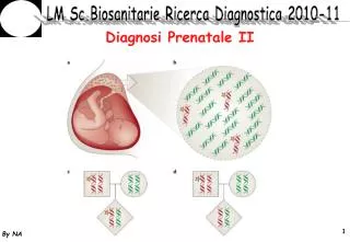 diagnosi prenatale ii