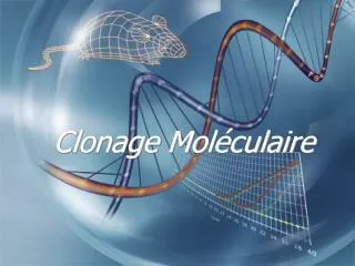 clonage mol culaire