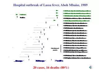Hospital outbreak of Lassa fever, Aboh Mbaise, 1989