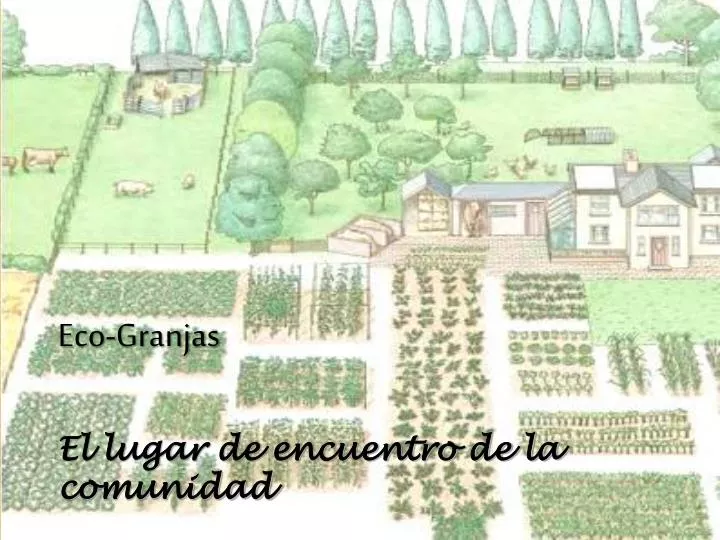 eco granjas