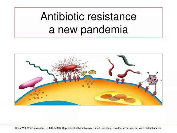 antibiotic resistance a new pandemia