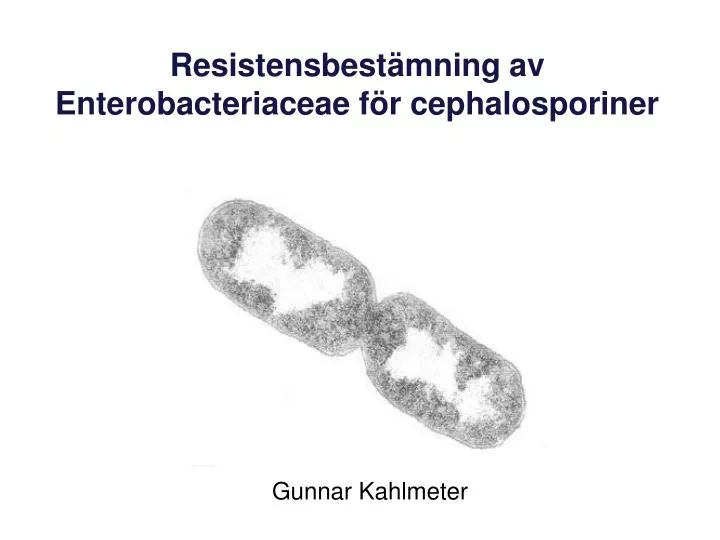 resistensbest mning av enterobacteriaceae f r cephalosporiner