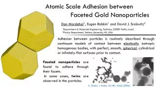 Atomic Scale Adhesion between 	 Faceted Gold Nanoparticles