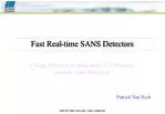 Fast Real-time SANS Detectors