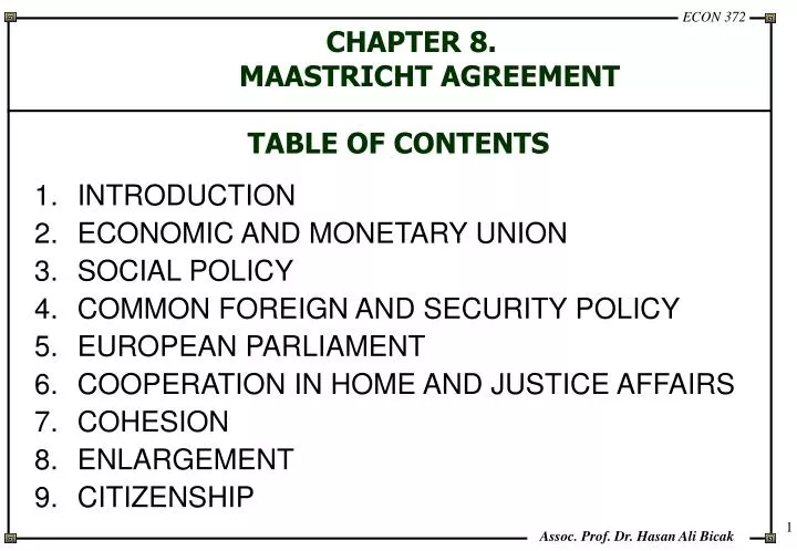 chapter 8 maastricht agreement