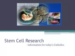 Stem Cell Research
