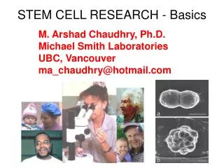 STEM CELL RESEARCH - Basics