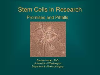 Stem Cells in Research