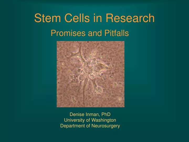stem cells in research