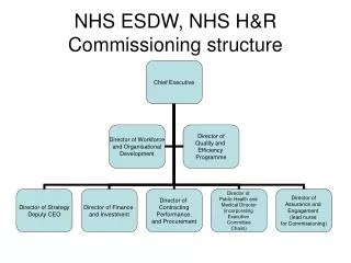 NHS ESDW, NHS H&amp;R Commissioning structure