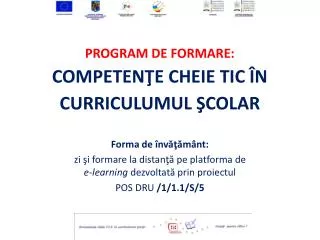 program de formare competen e cheie tic n curriculumul colar