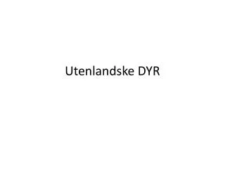 utenlandske dyr