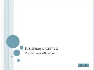 el sistema digestivo