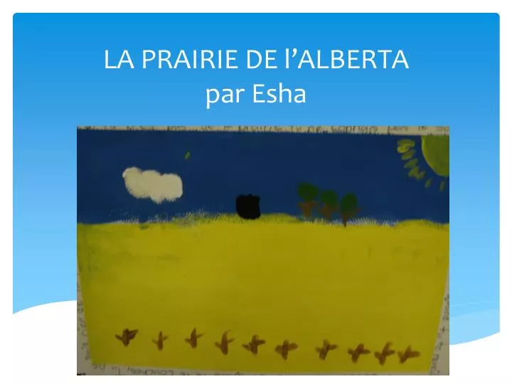 la prairie de l alberta par esha