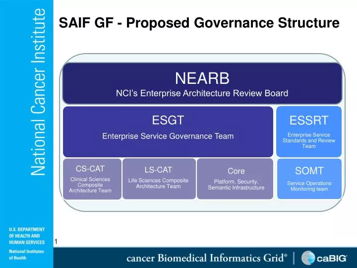 saif gf proposed governance structure