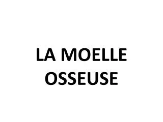 la moelle osseuse