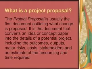 What is a project proposal?