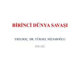b r nc d nya sava i