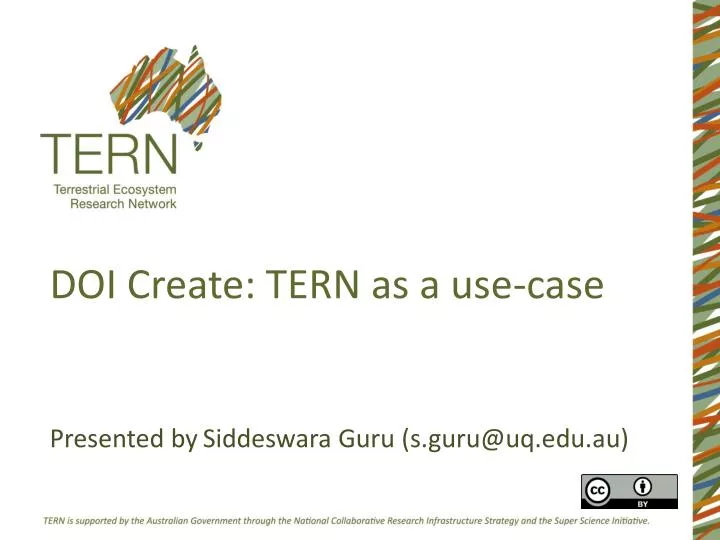 doi create tern as a use case