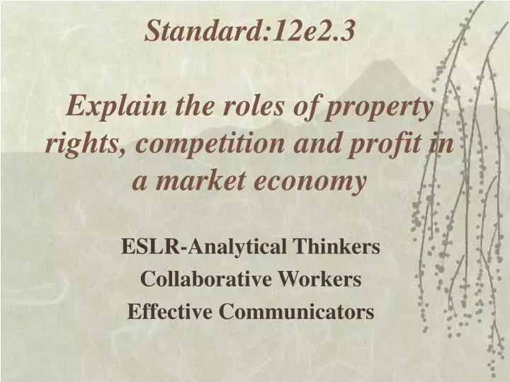 standard 12e2 3 explain the roles of property rights competition and profit in a market economy