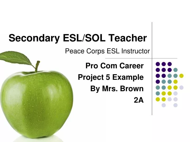 secondary esl sol teacher
