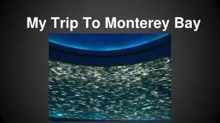 My Trip To Monterey Bay