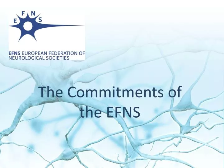 the commitments of the efns