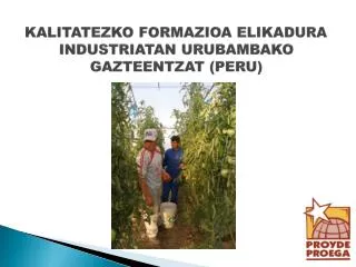 KALITATEZKO FORMAZIOA ELIKADURA INDUSTRIATAN URUBAMBAKO GAZTEENTZAT (PERU)