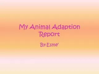 My Animal Adaption Report