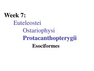 Week 7: Euteleostei Ostariophysi 		Protacanthopterygii Esociformes