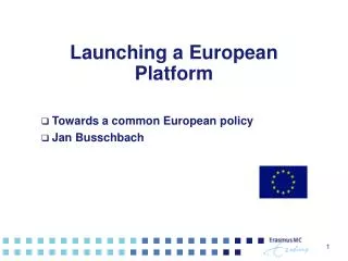 Launching a European Platform