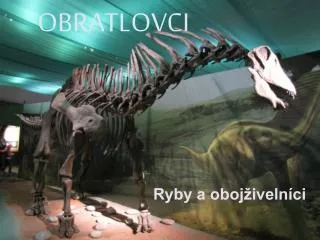 obratlovci